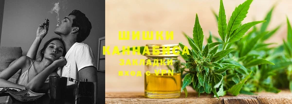 PSILOCYBIN Осташков