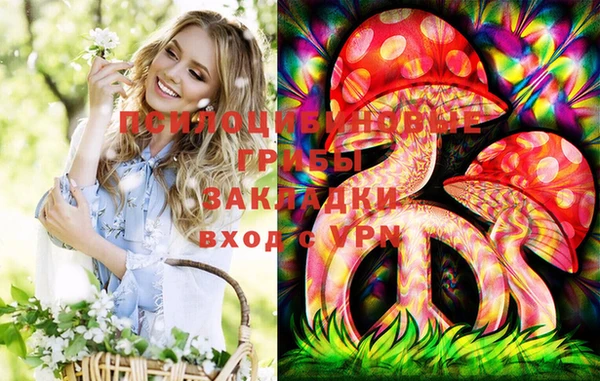 PSILOCYBIN Осташков