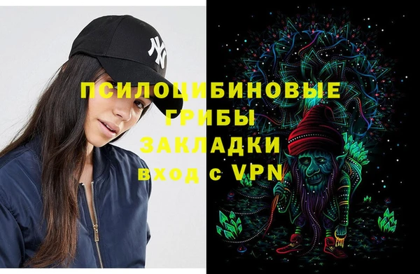 скорость Няндома
