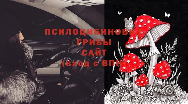 скорость Няндома