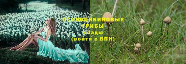 твердый Остров