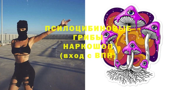 PSILOCYBIN Осташков